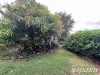 17 Dell Court, Kingaroy, Qld 4610-Image