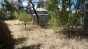 17 Dover Street, Moree, NSW 2400-Image