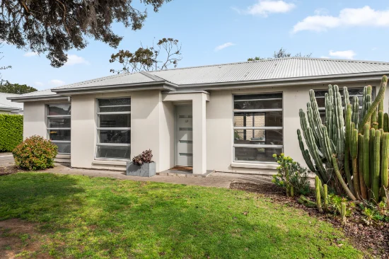 17 Downer Street, Plympton Park, SA 5038