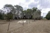 17 Drayton Street, Nanango, Qld 4615-Image