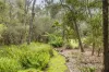 17 Dumossa Avenue, Rosebud, Vic 3939-Image