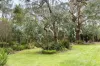 17 Dumossa Avenue, Rosebud, Vic 3939-Image