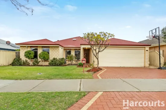 17 Dunsfold Street, Butler, WA 6036