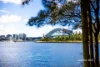 17 Edward Street, Balmain East, NSW 2041-Image