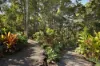 17 Evalma Drive, Buderim QLD 4556-Image