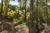 17 Evalma Drive, Buderim QLD 4556-Image
