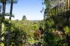 17 Evalma Drive, Buderim QLD 4556-Image