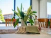 17 Fagan Drive, Downlands, Tas 7320-Image