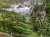 17 Fig Tree Drive, Goonellabah, NSW 2480-Image