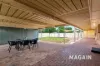 17 Freeman Avenue, Morphett Vale, SA 5162-Image