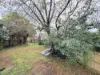 17 Gemini Close, Doncaster East, Vic 3109-Image