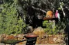 17 Gemsarna Crescent, Kelmscott, WA 6111-Image
