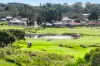 17 George Francis Drive, Mount Compass, SA 5210-Image