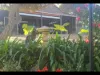 17 George Street, Kojonup, WA 6395-Image