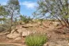 17 Gilbert Place, Larapinta, NT 0875-Image