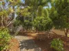 17 Glenwood Place, Twin Waters, Qld 4564-Image