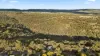 17 Gorge Road, Bellevue Heights SA 5050-Image