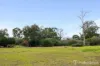 17 Gratiola Road, Byford, WA 6122-Image