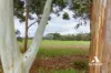17 Green Street, Manypeaks, WA 6328-Image
