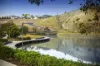 17 Grosvenor Street, Niddrie, Vic 3042-Image