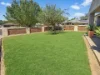 17 Hayden Place, Young, NSW 2594-Image