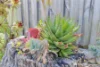 17 Hayes Road, Leeming, WA 6149-Image