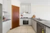 17 Hender Avenue, Klemzig, SA 5087-Image
