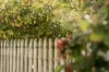 17 Hilltop Avenue, Devonport, Tas 7310-Image