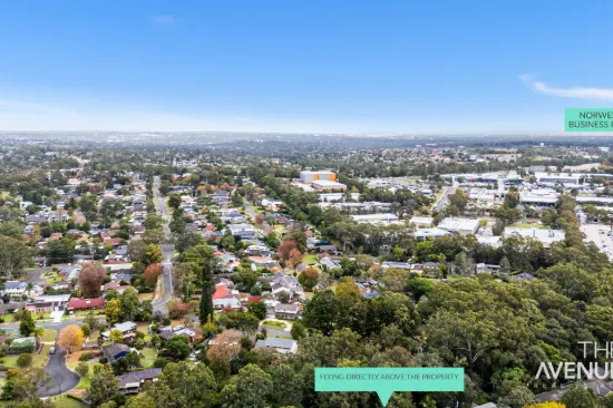 17 Hughes Avenue, Castle Hill, NSW 2154-Image