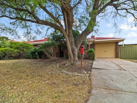 17 Jedna Close, Craigmore, SA 5114