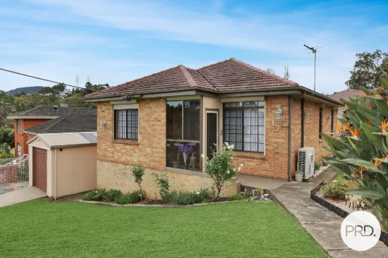 17 Kelly Street, Berkeley, NSW 2506