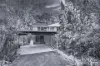 17 Kerry Avenue, Epping, NSW 2121