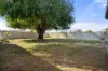 17 Lakemba Way, Waikiki, WA 6169-Image