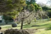 17 Laura Street, Hill Top, NSW 2575-Image