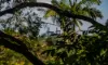 17 Lazenby Street, McDowall, Qld 4053-Image