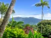 17 Lee Street, Freshwater, Qld 4870-Image
