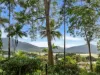 17 Lee Street, Freshwater, Qld 4870-Image