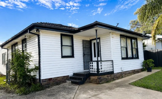 17 Leonard Street, Blacktown, NSW 2148