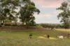 17 Longmire Lane, Strangways, Vic 3461-Image