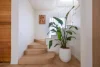 17 Lonsdale Street, Lilyfield, NSW 2040-Image