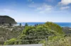 17 Lorikeet Street, Terrigal, NSW 2260-Image