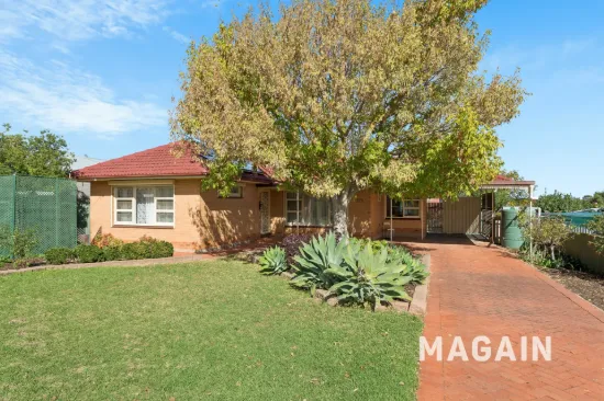 17 Lucas Street, Reynella, SA 5161