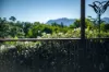 17 Lyon Street, Bellingen, NSW 2454-Image