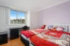 17 Mabuhay Grove, Mount Druitt, NSW 2770-Image