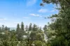 17 Mann Street, Cottesloe WA 6011-Image