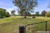 17 Maple Road, Lake Albert, NSW 2650-Image