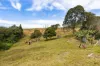 17 McAuleys Lane, Myocum, NSW 2481-Image