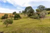 17 McAuleys Lane, Myocum, NSW 2481-Image