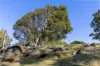 17 McAuleys Lane, Myocum, NSW 2481-Image