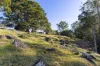 17 McAuleys Lane, Myocum, NSW 2481-Image